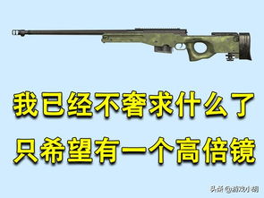 DP28 我捡起来就是满配,M416 满配不容易,它 什么是满配