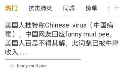 mud是什么意思？？？