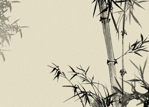 竹子象征什么精神品质的人,竹子象征意义及竹子的精神是什么？