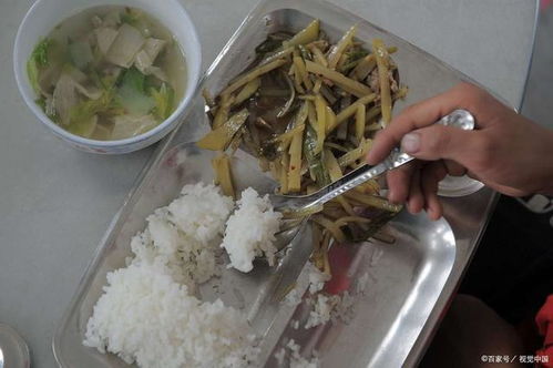 食堂菜是馊的,还有虫 按倒点外卖学生校方食堂被曝菜馊