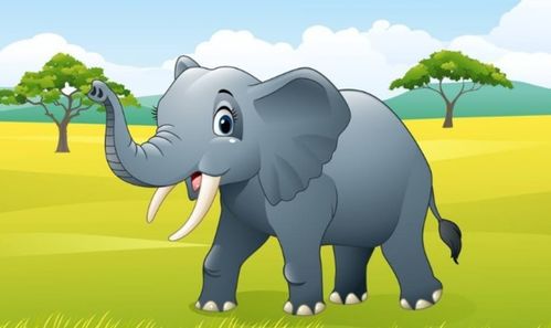 大象的英语单词怎么读 