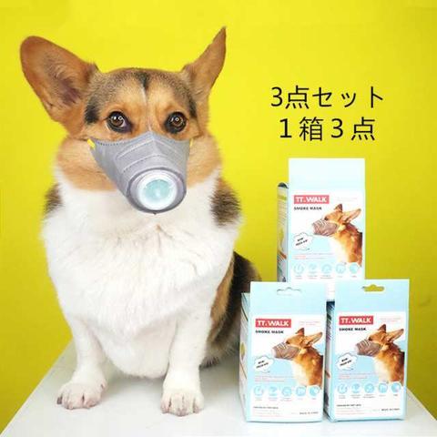 日本首次报告宠物犬确诊 政府 尚无证据狗会成传染源