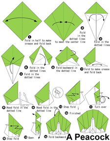 儿童折纸大全教你手工立体折纸孔雀的折法 