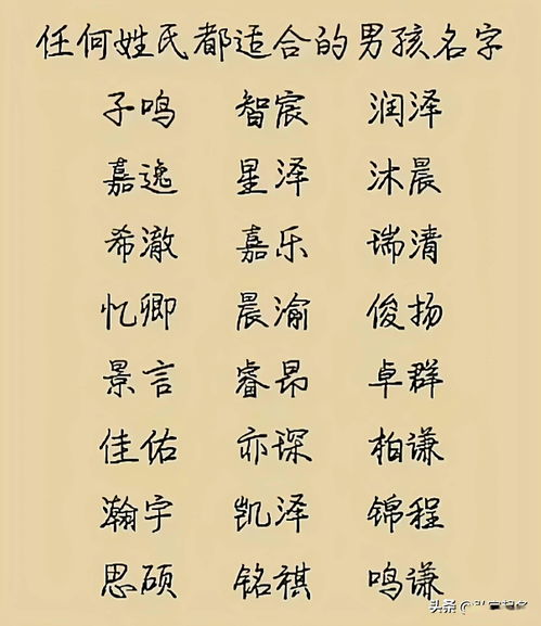 2025杨姓兔年最旺男孩名字