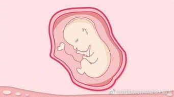 即将试管助孕内膜过厚时,移植胚胎能不能着床？