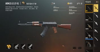 M416是最受吃鸡玩家喜爱的步枪,但我最喜欢AKM,你呢