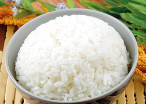 白米饭 垃圾食品之王 