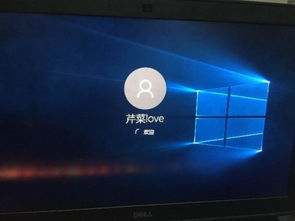 win10戴尔电脑账户删除进不去系统