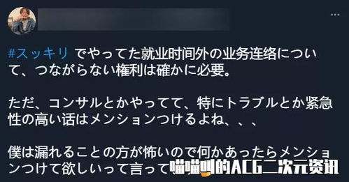 大雅查重价格探讨：贵但不可或缺