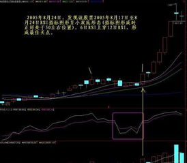 2009年8月24日股票