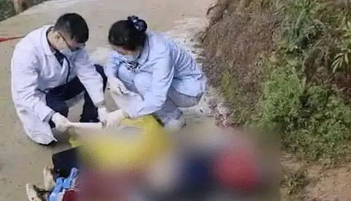 重庆8岁男童上学途中被狗咬死赔55万 恶犬咬死人不能赔钱了事