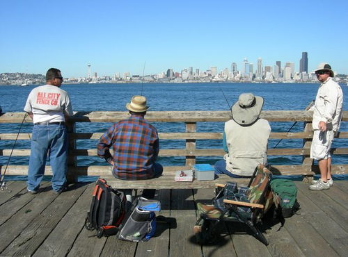 海钓钓点选择,pier fishing码头钓鱼技巧和装备
