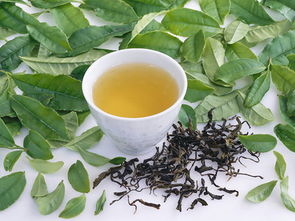 回甘养生茶有哪些,降血脂养生茶降血脂的养生茶有哪些
