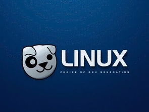 Linux应用开发的项目有哪些