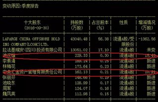 被中央汇金大量增持的股票会涨吗