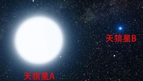 天狼星有什么特点 天狼星是密近双星 与天狼双星的演化有关