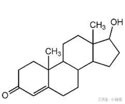 睾酮正常值是多少(睾酮正常值参考范围)