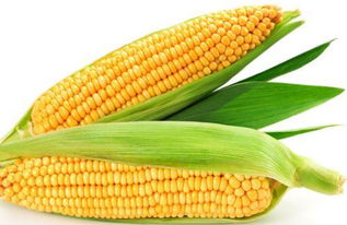 玉米得热量是多少,粘玉米与普通玉米哪个热量高 