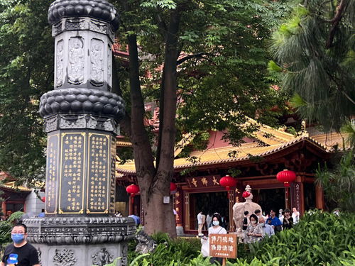 广东广州 雨中的大佛古寺 