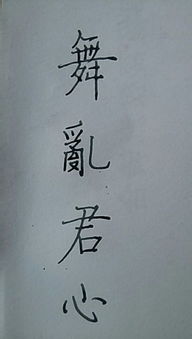 与君，依文字而舞(著为君舞释义)