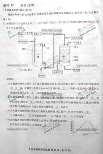 自选模块什么意思？