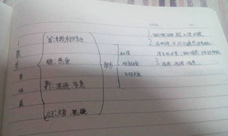 《散步》的读书笔记怎么写？