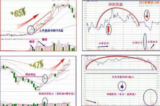 期货市场中什么是主力，洗盘，震仓？