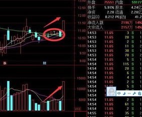 周末刚刚发生,中国股市宣布A股命运就在12月24号,再现千股涨停