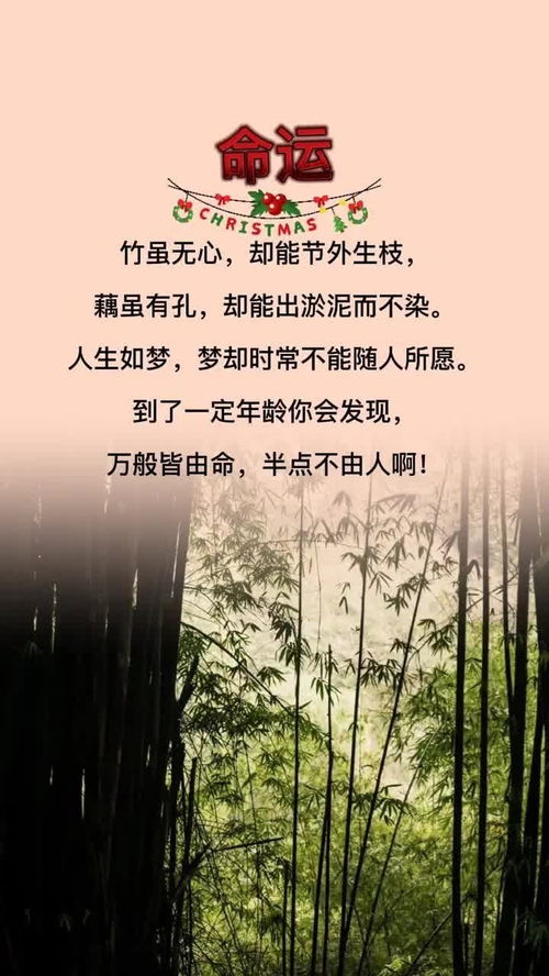 命里有时终须有,是什么生肖(十二生肖的动物都有什么寓意)