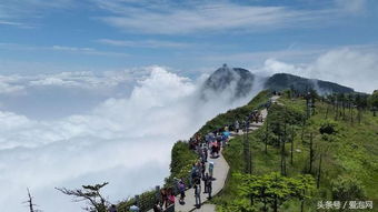 西南出发暑假游雅安乐山大佛峨眉山经典之旅 