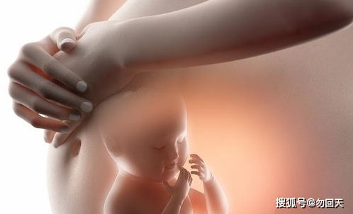 原创怀孕后，有的孕妈肚子大得像球，有的却不显怀，可能是这3个原因