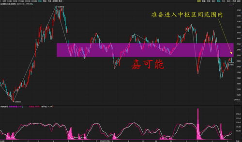 空头消失 领跑全球的日本股市势将进一步上涨