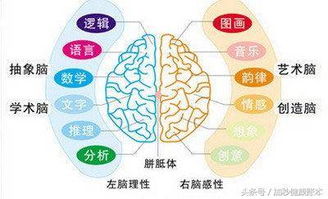 都说做个好梦,为什么不说无梦 做梦有啥好处 