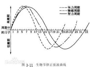 什么是生物节律优生法