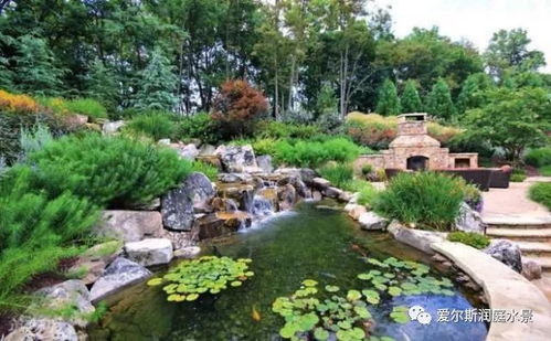设计个水景池,居然让庭院变得如此美丽 
