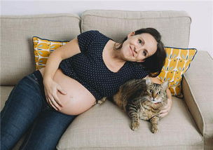 孕妇做梦梦到了猫和狗是否有着特殊的含义