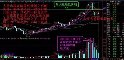 股票不止损近后果？新手？