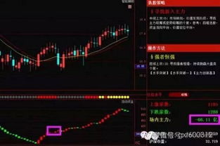 现在庄在股市里一般自己用在股票的流动资金大概在多少钱范围内？