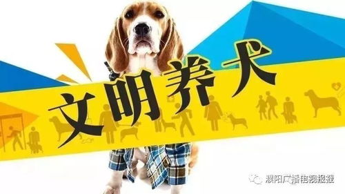 濮阳市民注意了,体高超过 55厘米的狗狗不能养了