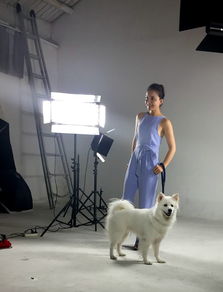 孙茜携流浪狗拍摄宣传片 呼吁请勿遗弃宠物