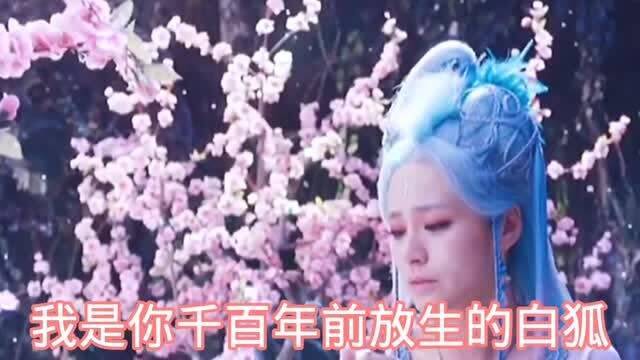 白狐 很喜欢的一首音乐 