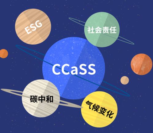 安永CCaSS