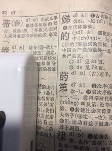 史字在新华字典的页码是多少页