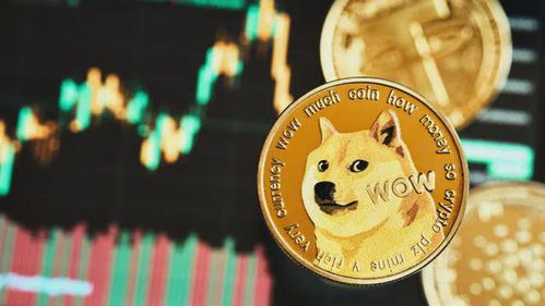 CEODOGEֵóڳ