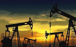 石油技术新进展 中国未来石油勘探技术展望