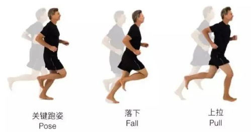 高手私藏的跳跃训练 5组动作,显著有效提高你的步频