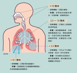 由意外的心血管,免疫和呼吸系统的结构障碍是怎么评定的