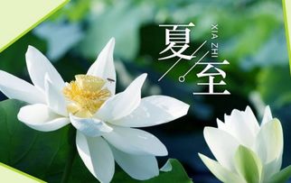 秋分节气有哪些物候特征(秋分节气有什么风俗活动)