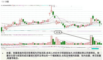 股市成交量图里的量柱是总量还是净量？如果是总量的话，怎么看每天的净量？