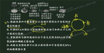 关于原点的名言